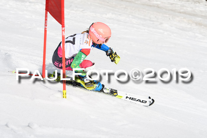 DSV Deutscher Schülercup U12 Finale 2019, Slalom Cross 03.03.2019