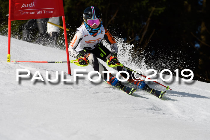 DSV Deutscher Schülercup U12 Finale 2019, Slalom Cross 03.03.2019