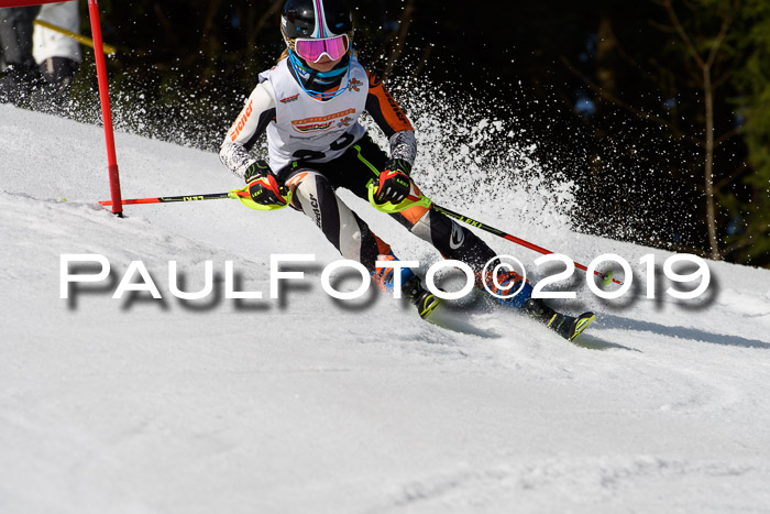 DSV Deutscher Schülercup U12 Finale 2019, Slalom Cross 03.03.2019