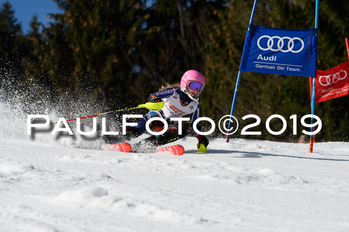 DSV Deutscher Schülercup U12 Finale 2019, Slalom Cross 03.03.2019