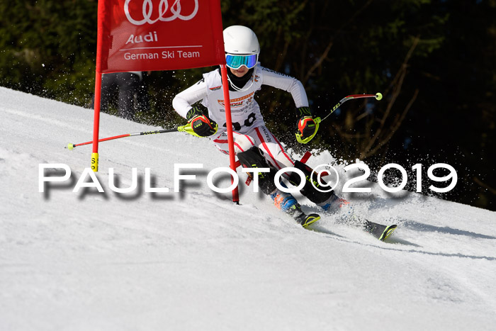 DSV Deutscher Schülercup U12 Finale 2019, Slalom Cross 03.03.2019