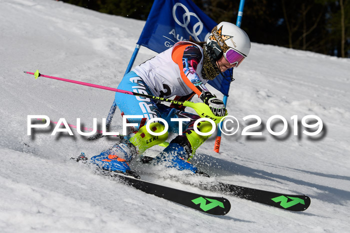 DSV Deutscher Schülercup U12 Finale 2019, Slalom Cross 03.03.2019