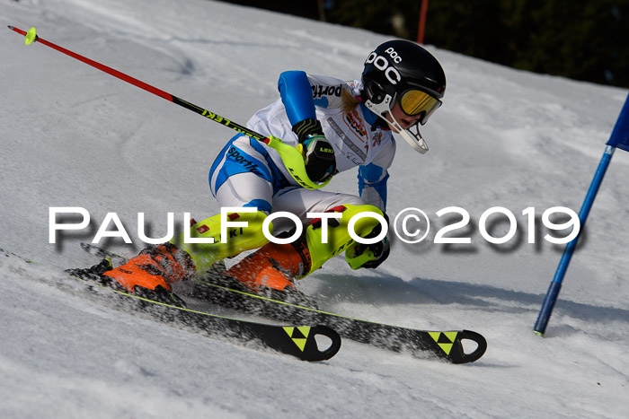 DSV Deutscher Schülercup U12 Finale 2019, Slalom Cross 03.03.2019