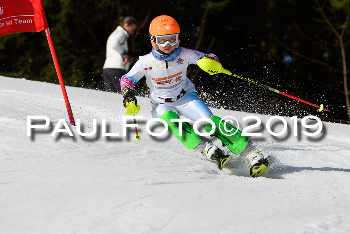 DSV Deutscher Schülercup U12 Finale 2019, Slalom Cross 03.03.2019