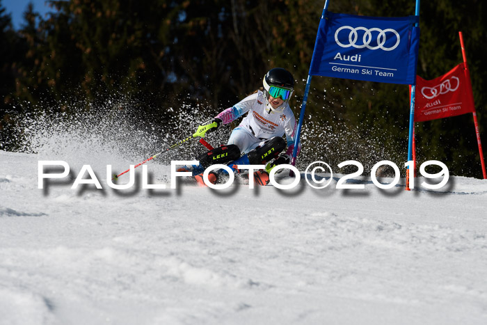 DSV Deutscher Schülercup U12 Finale 2019, Slalom Cross 03.03.2019