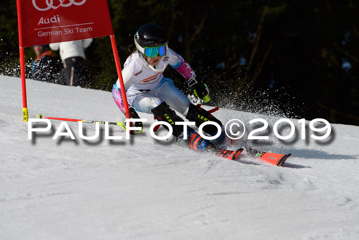 DSV Deutscher Schülercup U12 Finale 2019, Slalom Cross 03.03.2019