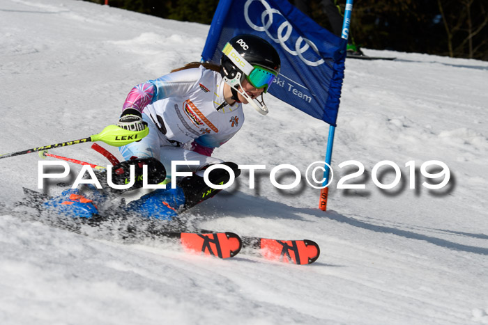 DSV Deutscher Schülercup U12 Finale 2019, Slalom Cross 03.03.2019