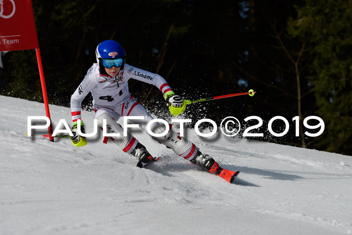 DSV Deutscher Schülercup U12 Finale 2019, Slalom Cross 03.03.2019