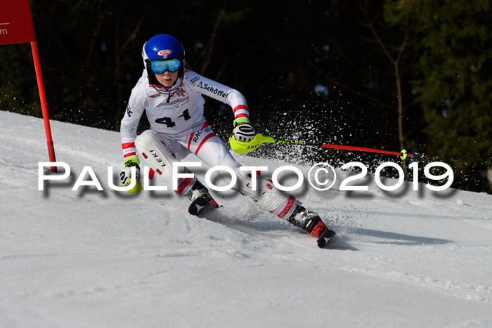 DSV Deutscher Schülercup U12 Finale 2019, Slalom Cross 03.03.2019