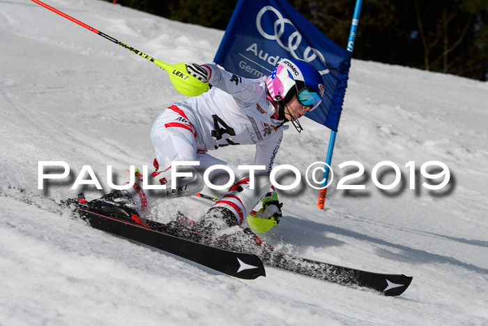 DSV Deutscher Schülercup U12 Finale 2019, Slalom Cross 03.03.2019