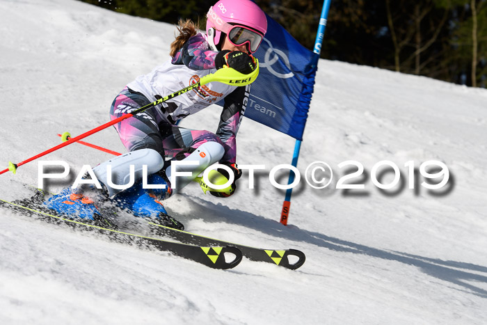 DSV Deutscher Schülercup U12 Finale 2019, Slalom Cross 03.03.2019