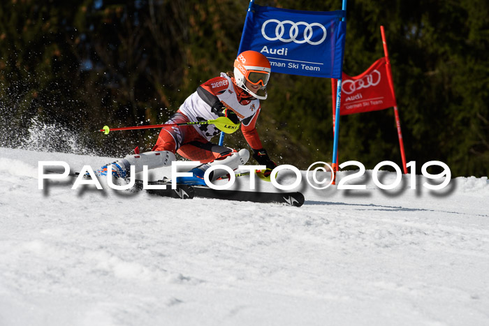 DSV Deutscher Schülercup U12 Finale 2019, Slalom Cross 03.03.2019