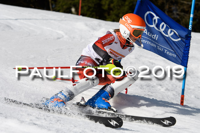 DSV Deutscher Schülercup U12 Finale 2019, Slalom Cross 03.03.2019