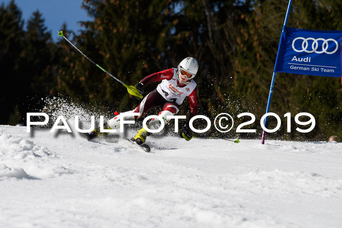 DSV Deutscher Schülercup U12 Finale 2019, Slalom Cross 03.03.2019