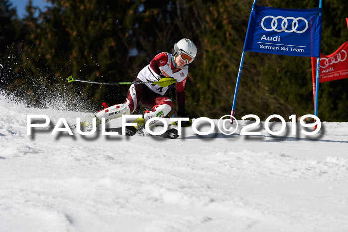 DSV Deutscher Schülercup U12 Finale 2019, Slalom Cross 03.03.2019