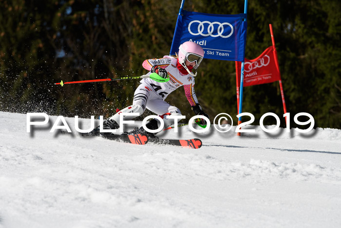 DSV Deutscher Schülercup U12 Finale 2019, Slalom Cross 03.03.2019