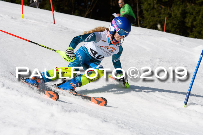 DSV Deutscher Schülercup U12 Finale 2019, Slalom Cross 03.03.2019