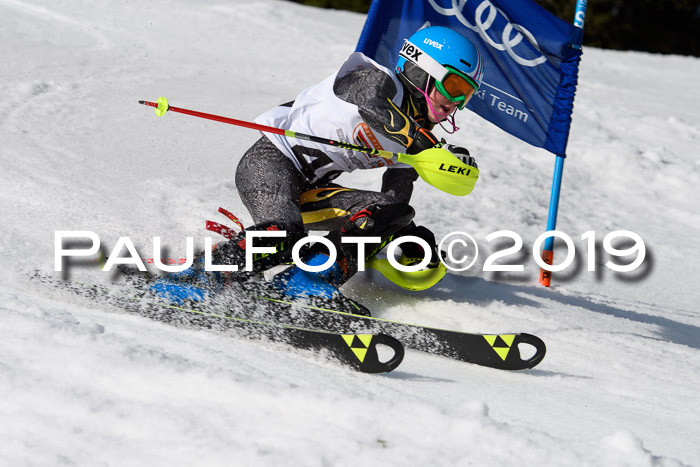 DSV Deutscher Schülercup U12 Finale 2019, Slalom Cross 03.03.2019