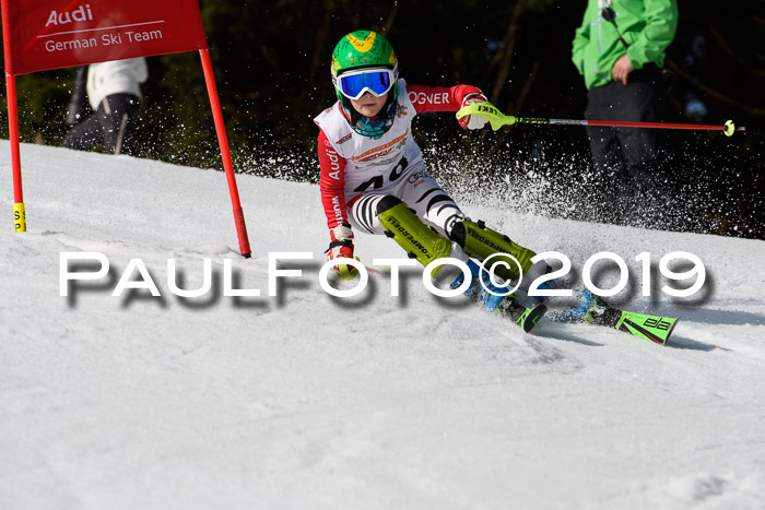 DSV Deutscher Schülercup U12 Finale 2019, Slalom Cross 03.03.2019