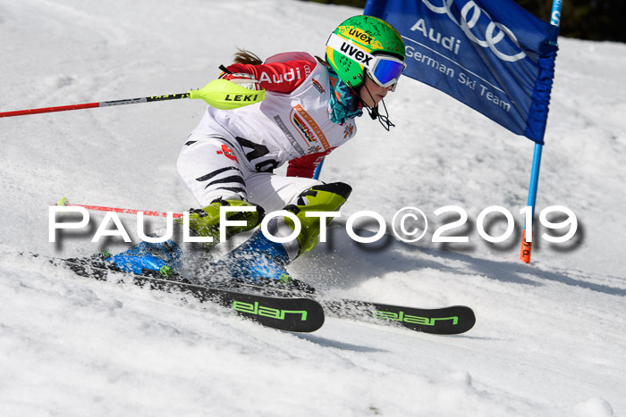 DSV Deutscher Schülercup U12 Finale 2019, Slalom Cross 03.03.2019