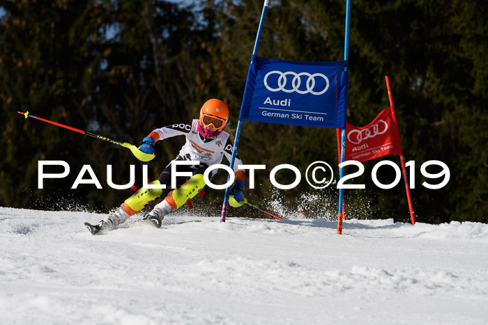 DSV Deutscher Schülercup U12 Finale 2019, Slalom Cross 03.03.2019