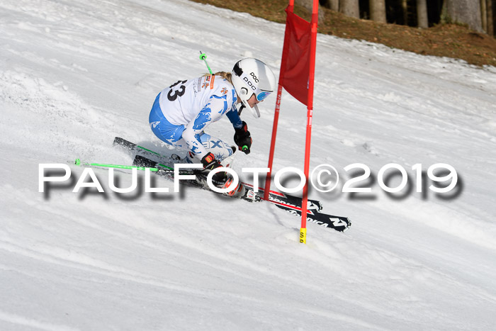 DSV Deutscher Schülercup U12 Finale 2019, Slalom Cross 03.03.2019