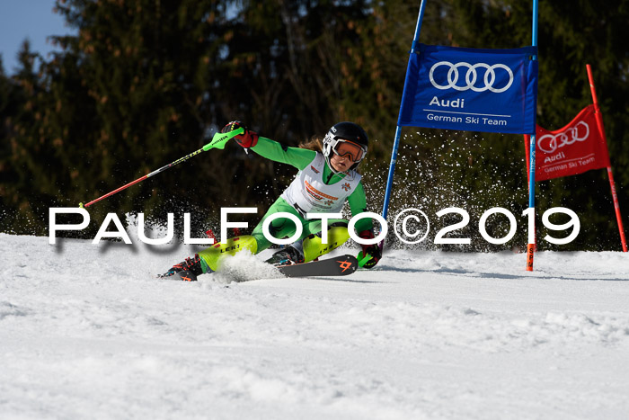 DSV Deutscher Schülercup U12 Finale 2019, Slalom Cross 03.03.2019