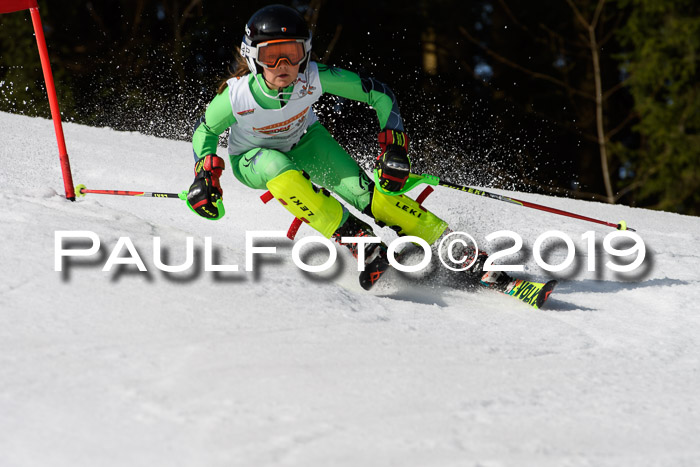 DSV Deutscher Schülercup U12 Finale 2019, Slalom Cross 03.03.2019