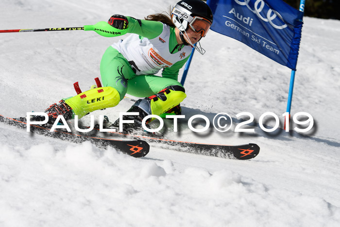 DSV Deutscher Schülercup U12 Finale 2019, Slalom Cross 03.03.2019