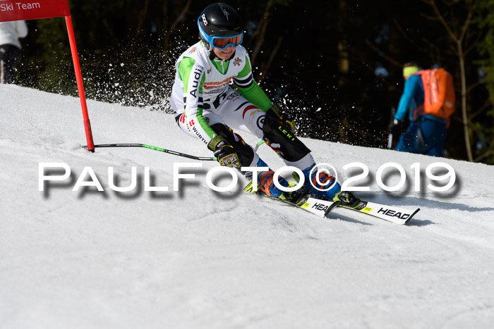 DSV Deutscher Schülercup U12 Finale 2019, Slalom Cross 03.03.2019