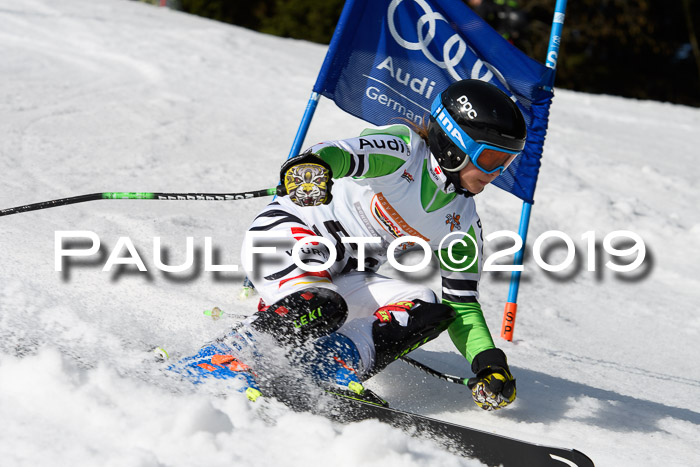 DSV Deutscher Schülercup U12 Finale 2019, Slalom Cross 03.03.2019