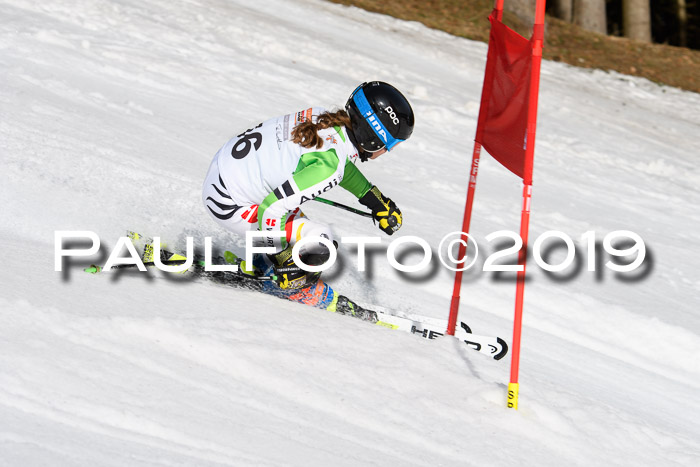 DSV Deutscher Schülercup U12 Finale 2019, Slalom Cross 03.03.2019