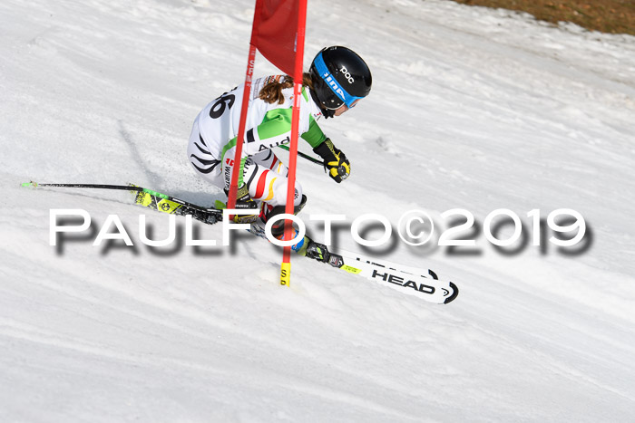 DSV Deutscher Schülercup U12 Finale 2019, Slalom Cross 03.03.2019