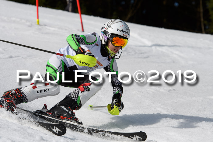DSV Deutscher Schülercup U12 Finale 2019, Slalom Cross 03.03.2019