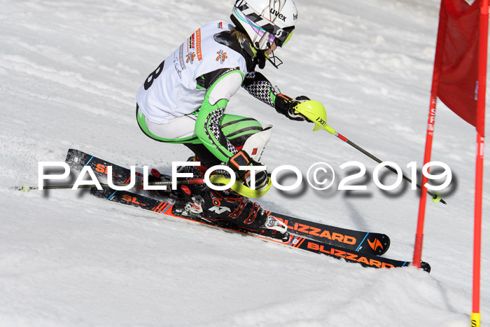 DSV Deutscher Schülercup U12 Finale 2019, Slalom Cross 03.03.2019