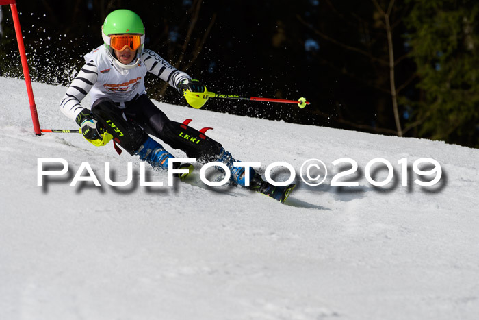 DSV Deutscher Schülercup U12 Finale 2019, Slalom Cross 03.03.2019
