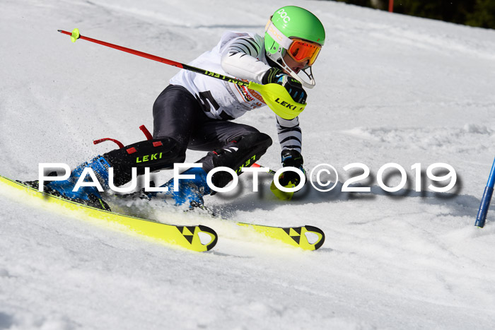 DSV Deutscher Schülercup U12 Finale 2019, Slalom Cross 03.03.2019