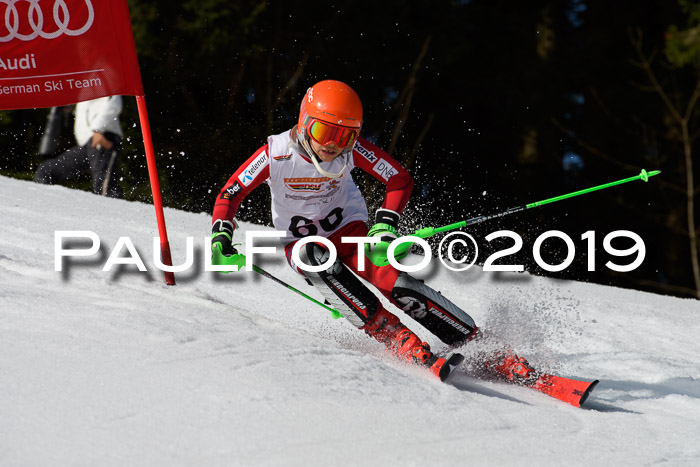 DSV Deutscher Schülercup U12 Finale 2019, Slalom Cross 03.03.2019