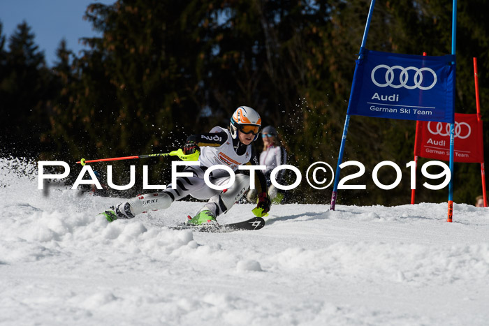 DSV Deutscher Schülercup U12 Finale 2019, Slalom Cross 03.03.2019