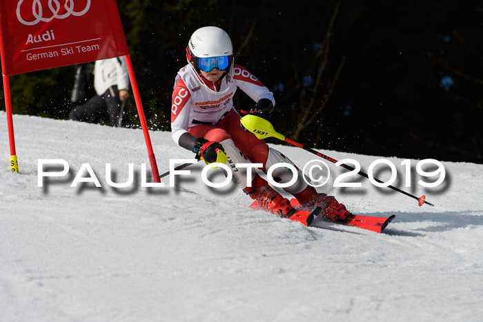 DSV Deutscher Schülercup U12 Finale 2019, Slalom Cross 03.03.2019
