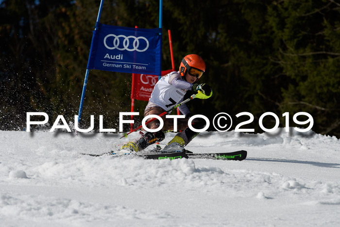 DSV Deutscher Schülercup U12 Finale 2019, Slalom Cross 03.03.2019