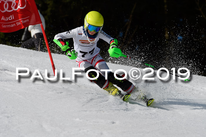 DSV Deutscher Schülercup U12 Finale 2019, Slalom Cross 03.03.2019