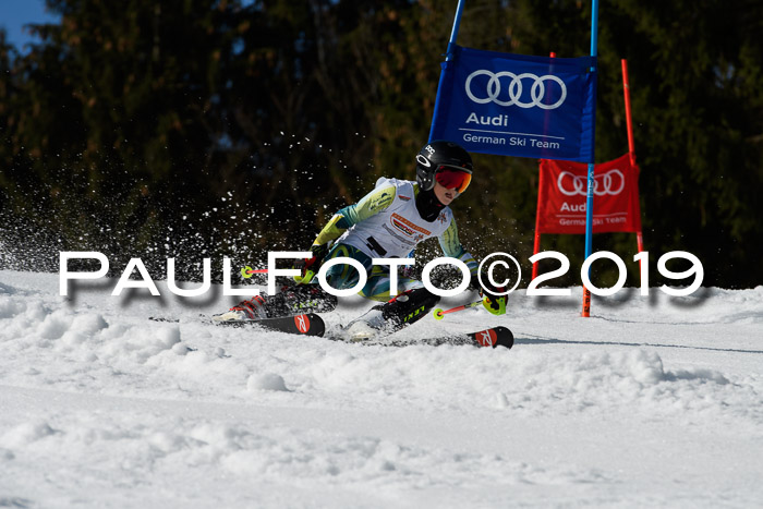 DSV Deutscher Schülercup U12 Finale 2019, Slalom Cross 03.03.2019