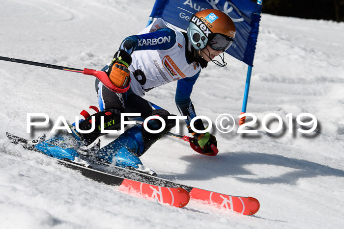 DSV Deutscher Schülercup U12 Finale 2019, Slalom Cross 03.03.2019