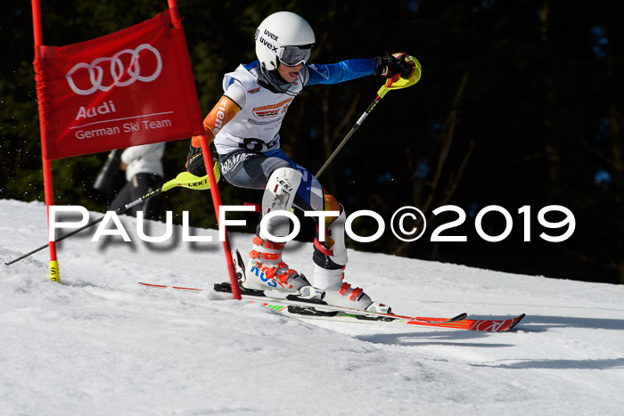 DSV Deutscher Schülercup U12 Finale 2019, Slalom Cross 03.03.2019