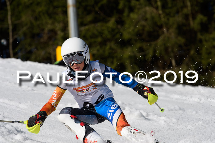 DSV Deutscher Schülercup U12 Finale 2019, Slalom Cross 03.03.2019