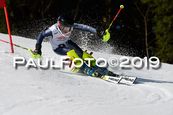 DSV Deutscher Schülercup U12 Finale 2019, Slalom Cross 03.03.2019