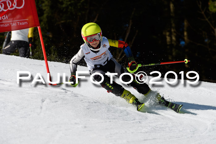 DSV Deutscher Schülercup U12 Finale 2019, Slalom Cross 03.03.2019