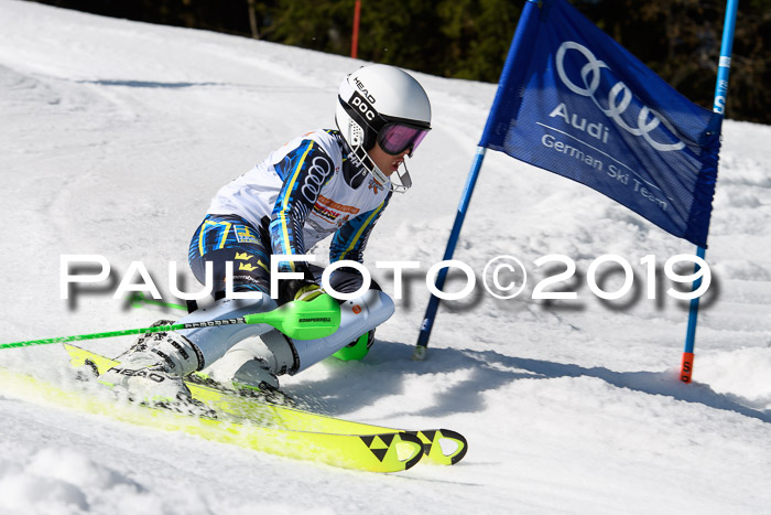 DSV Deutscher Schülercup U12 Finale 2019, Slalom Cross 03.03.2019