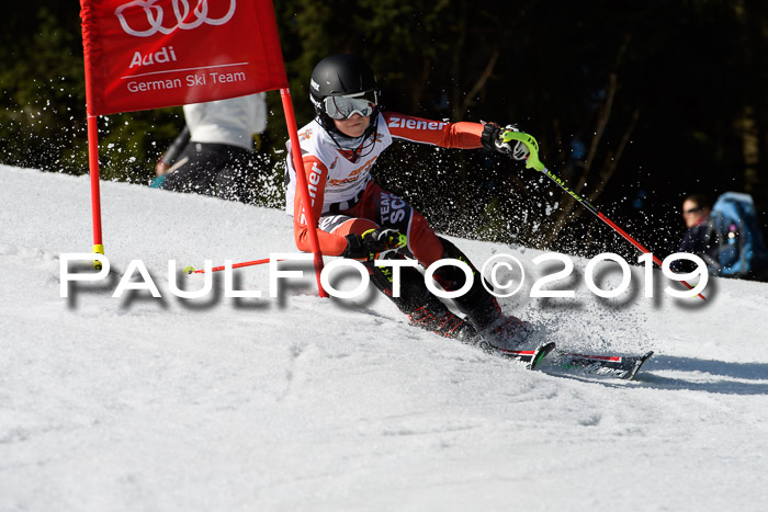 DSV Deutscher Schülercup U12 Finale 2019, Slalom Cross 03.03.2019